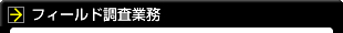 フィールド調査業務