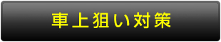 車上狙い対策